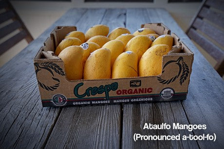 Case of Ataulfo Mangos (20-22 count)